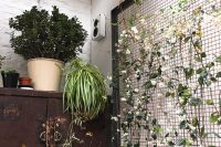 hackney coffee company